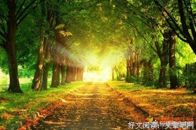 最初的梦想名句欣赏