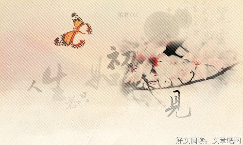 关于人生若只有初见的句子