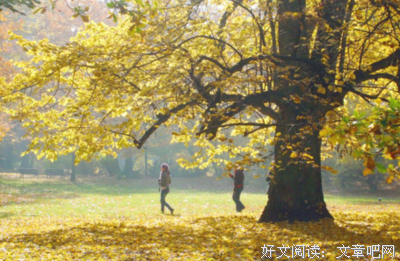 关于奇妙的优美句子