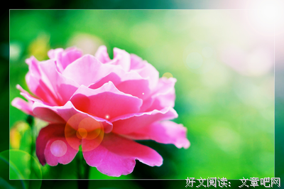 关于日夏茗的名句摘抄