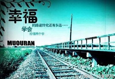 关于无关紧要的语句