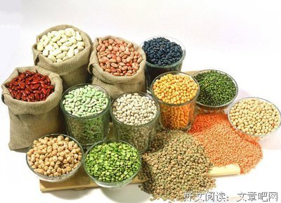 关于橘鱼月名言大全