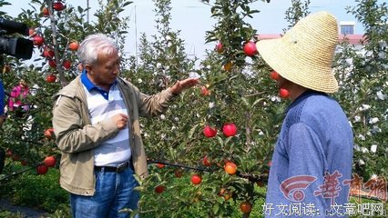 最全的《灿烂千阳》语录摘抄