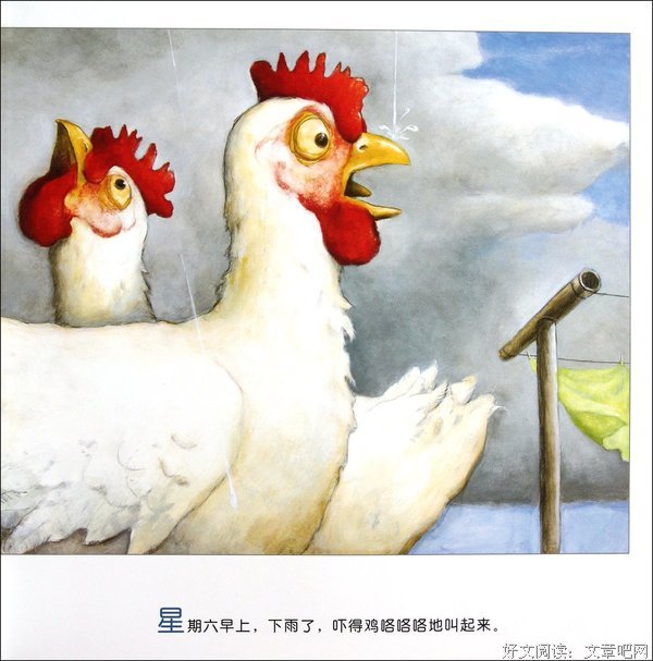 关于暴风雨的句子