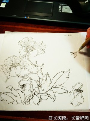 虫师好词好句