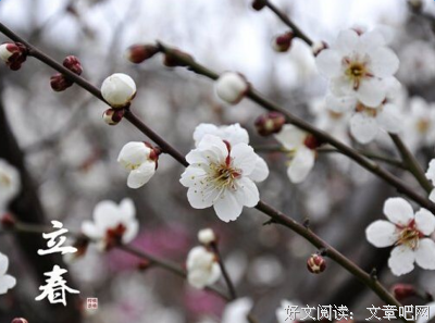 有关算是时我声还们才比看的的句子