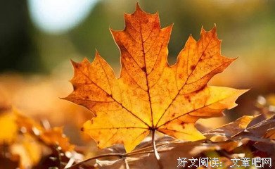 关于无所适从的语句