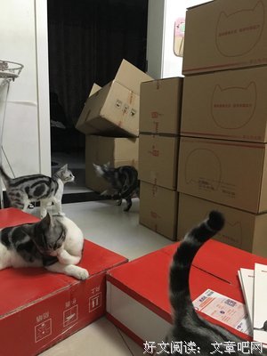 关于七叔的名言