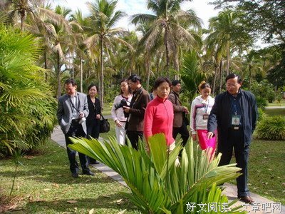 关于李江的语句