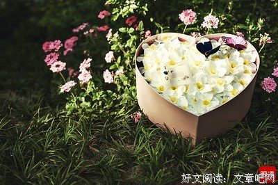 我到底还爱不爱他……