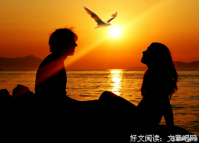 沈善书名言