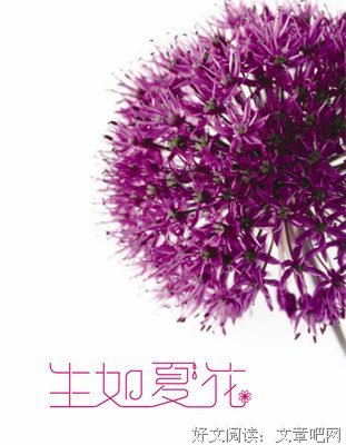 《生如夏花》经典名句大全
