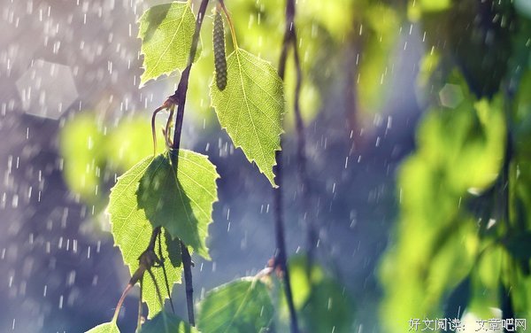 《同一屋檐下》经典观后感集