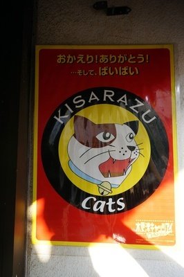 《木更津猫眼》经典影评10篇