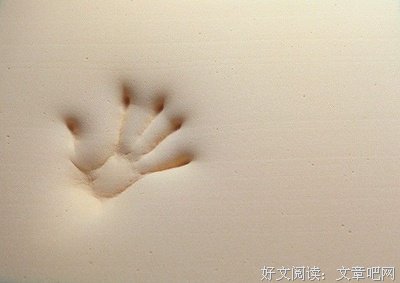 睡它，颈椎再也不受罪！
