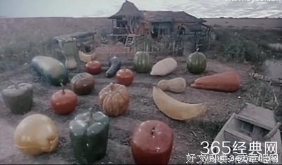 《十兄弟》经典观后感10篇