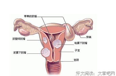 教友这样做，比教外人更可怕！请自检...