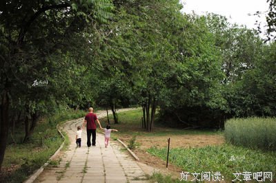 老板的苦衷，我现在有点明了|全职爸爸第二十四周工作报告
