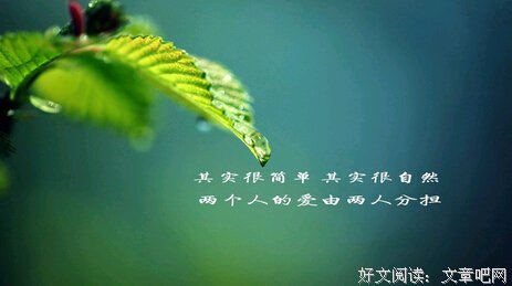 淡美的忧伤优美的句子