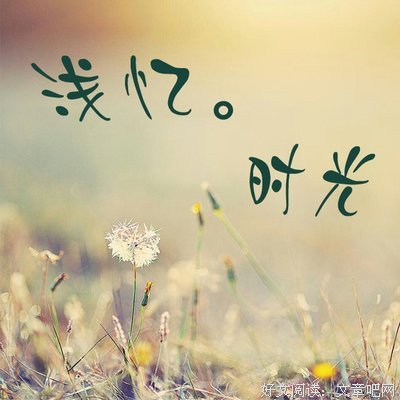 似得年有流年的句子