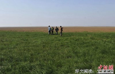 资料经典名句
