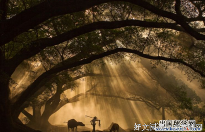 关于心灵悄悄生格发的句子
