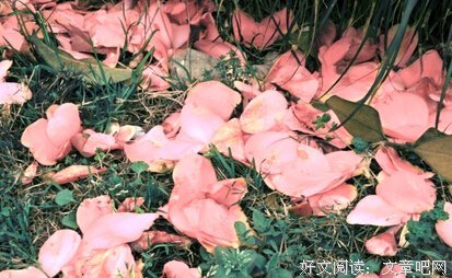关于琴瑟在御的句子