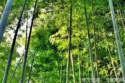 这就是我向往的日子（真美）