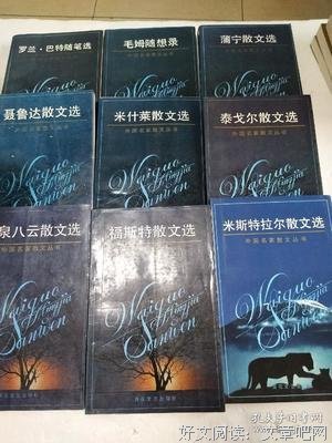 描写米什莱的经典句子