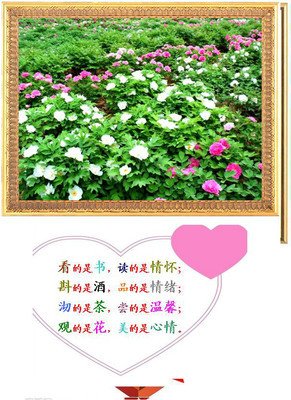 关于势在必行的唯美语录
