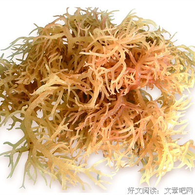 关于德慧的名句摘抄