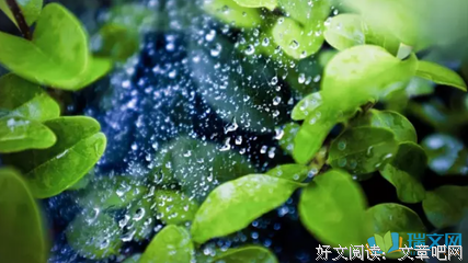 关于大乖的语句
