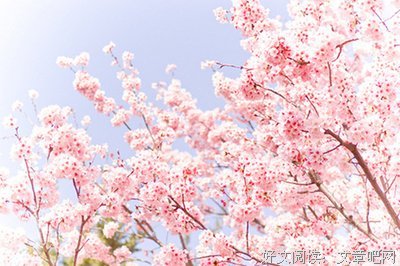 关于一无所知的名言