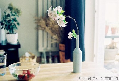 最全的《疯狂阅读》经典语句大全