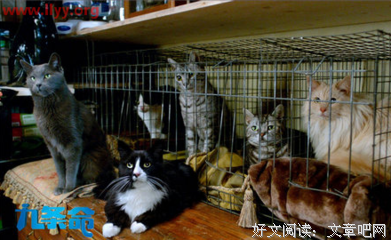 《九条命》好看吗？经典影评10篇