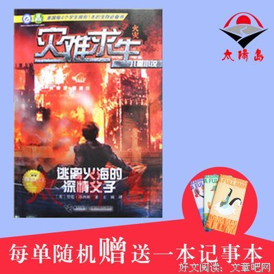 《路上父子》读后感精选10篇