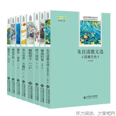 鲁迅自选集读后感精选10篇