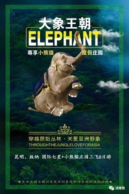 暴食者​塔拉里的神奇一生｜大象文摘