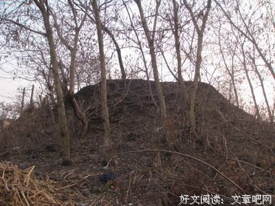 司汤迁句子