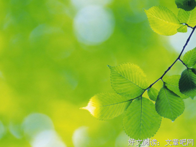 最新的《罪恶之城》小说句子