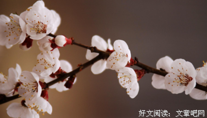 最新的《美丽心灵》好段摘抄大全