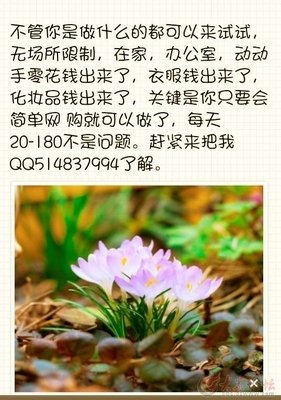马航MH370失联客机找到了？1640天，我们在等你回家...