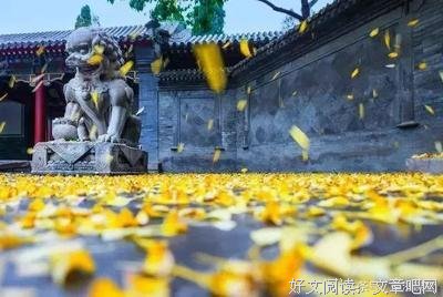 你的善良，就是你的福报。
