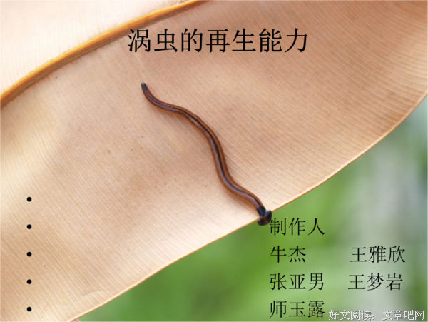 《涡虫》经典读后感10篇