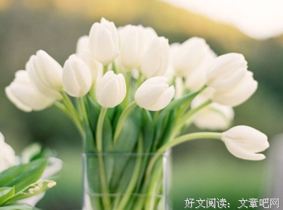 埋怨世界，不如改变自己