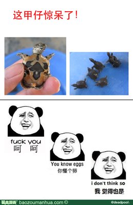 关于你而的句子