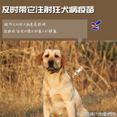 网红殴打孕妇致其流产，全国网友怒了