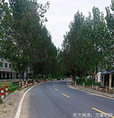 有一种坚强：笑给别人看，哭给自己听