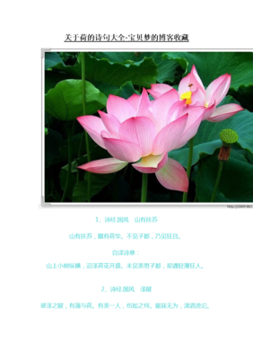 关于先秦的句子