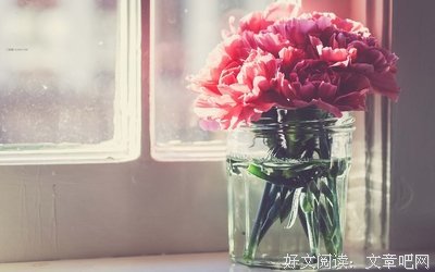 关于鱼戏莲叶的格言